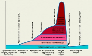Расписание для женского возбуждения
