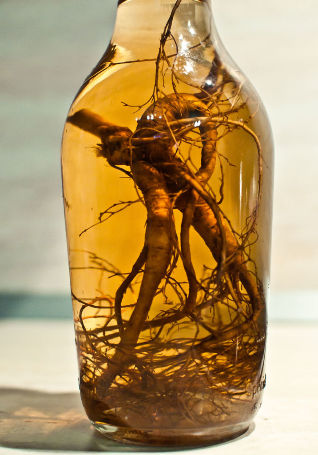 Корен